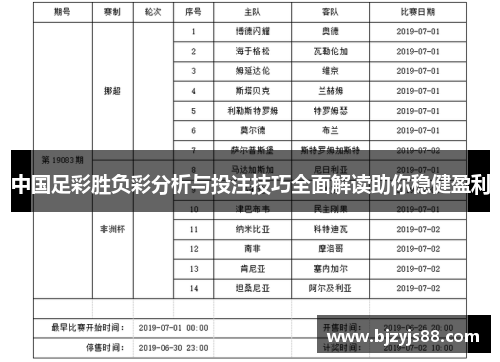 中国足彩胜负彩分析与投注技巧全面解读助你稳健盈利 中国足彩胜负彩分析与投注技巧全面解读助你稳健盈利