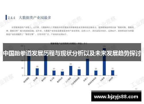 中国跆拳道发展历程与现状分析以及未来发展趋势探讨 中国跆拳道发展历程与现状分析以及未来发展趋势探讨